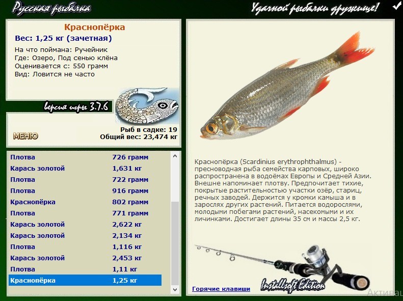турниры • РУССКАЯ РЫБАЛКА