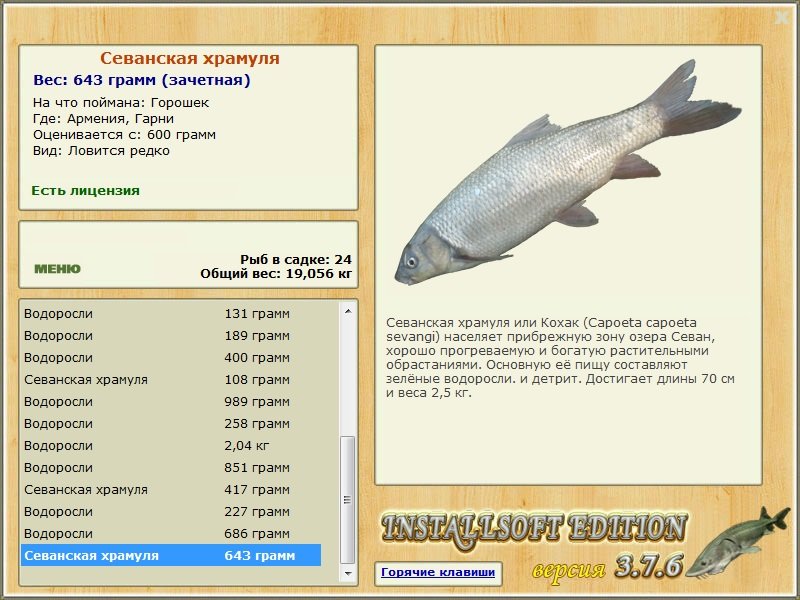 Гарни 
