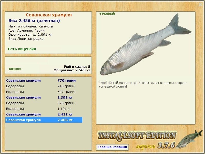 Гарни 
