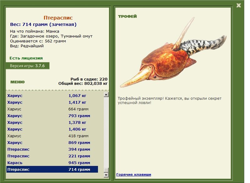 Туманный омут 
