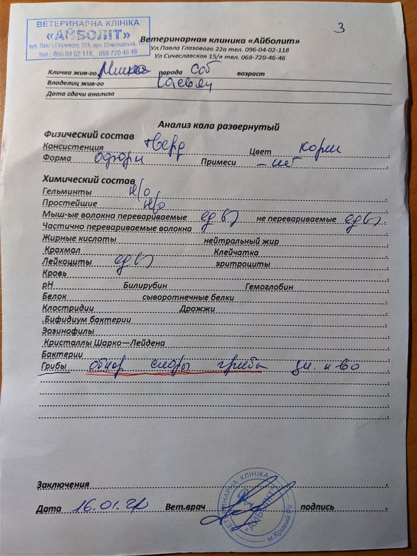 Финансовый отчет Ники 