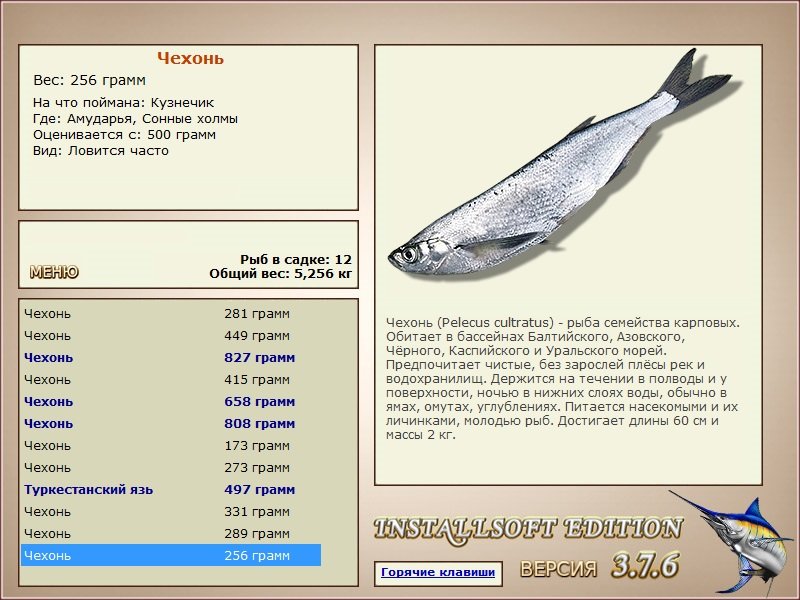 Сонные холмы 