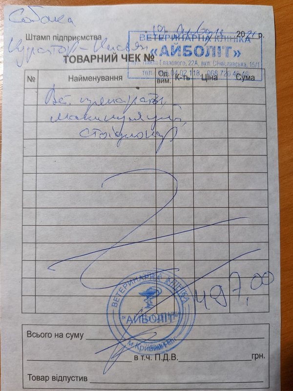 Финансовый отчет Ники 