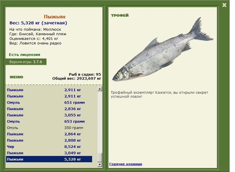 Каменный пляж 