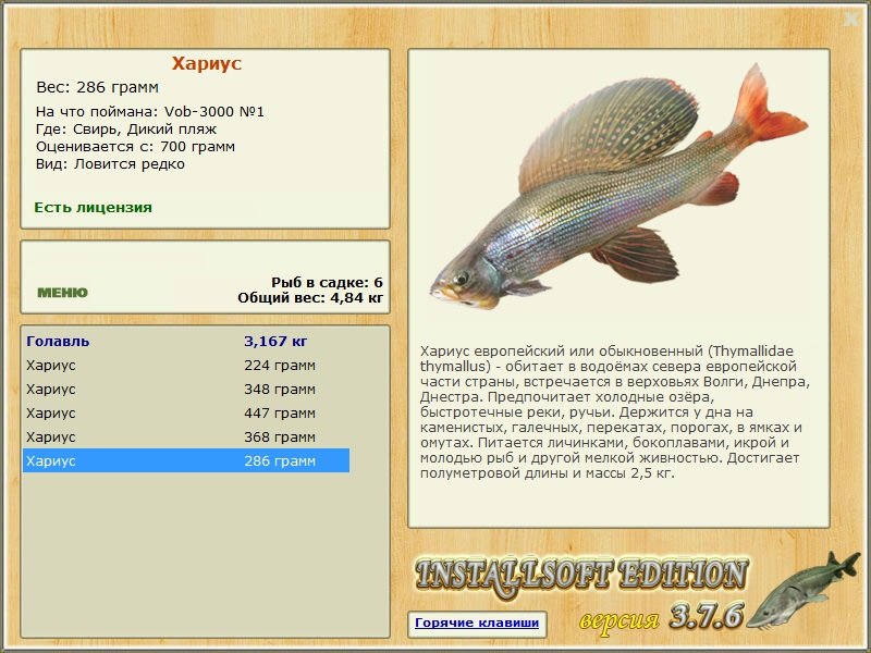 Дикий пляж 