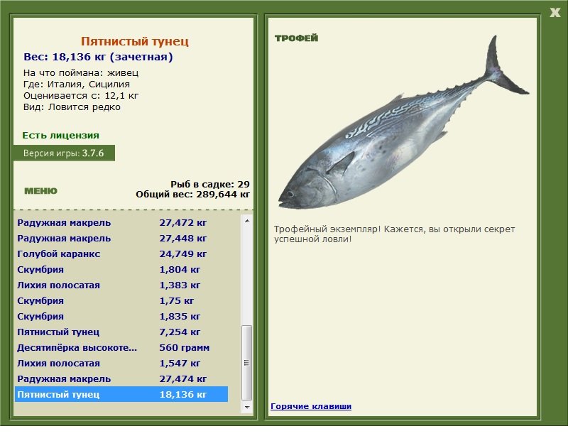 Пятнистый тунец 
