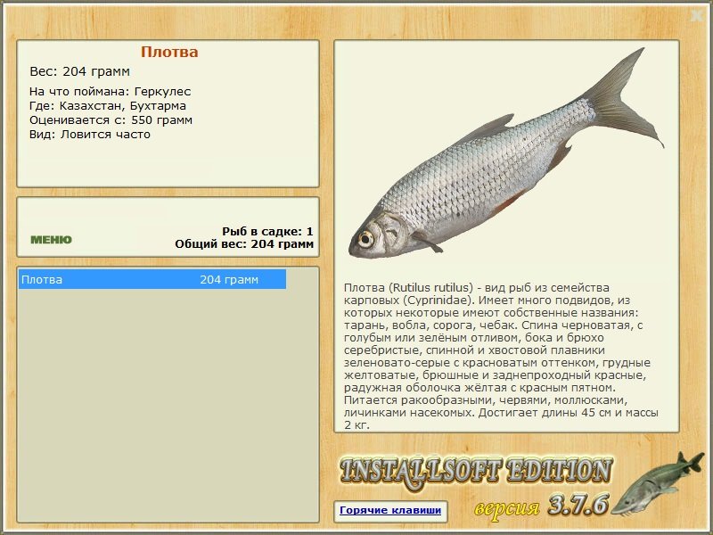 Бухтарма 