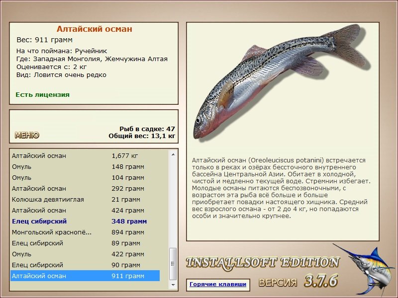 турниры • РУССКАЯ РЫБАЛКА