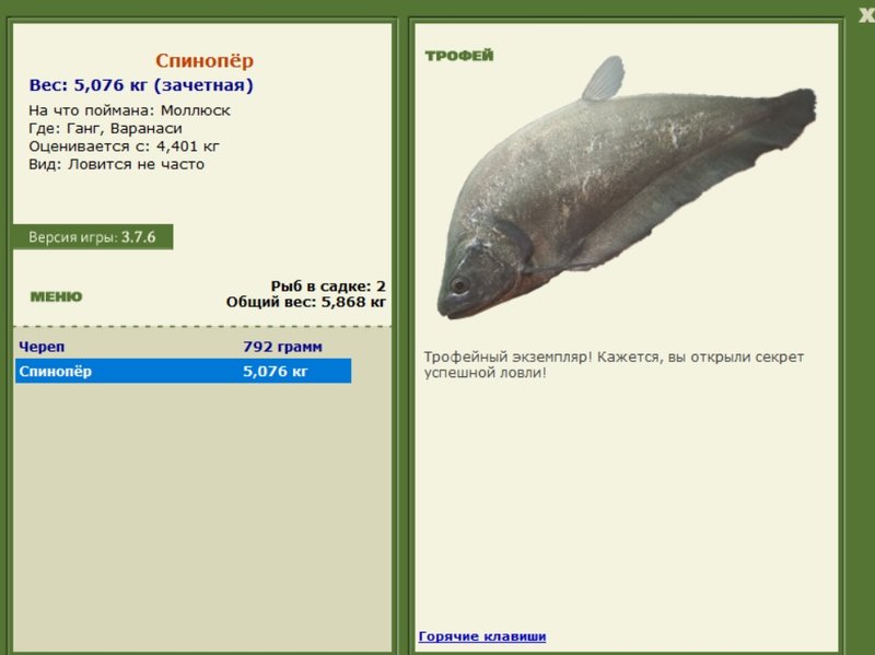 Спинопёр 