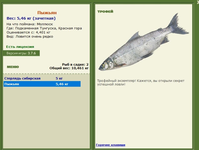 Пыжьян 