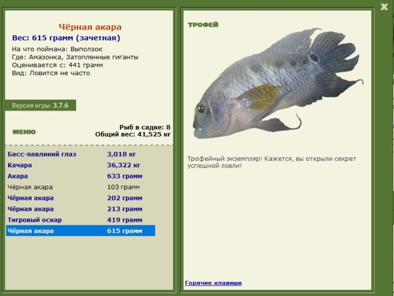 Чёрная акара 