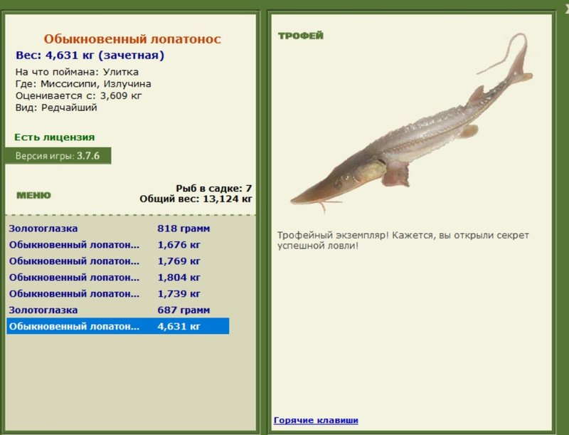 Обыкновенный лопатонос 
