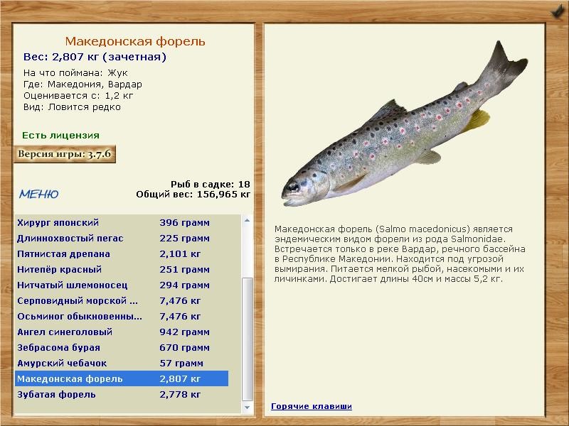 Вардар 