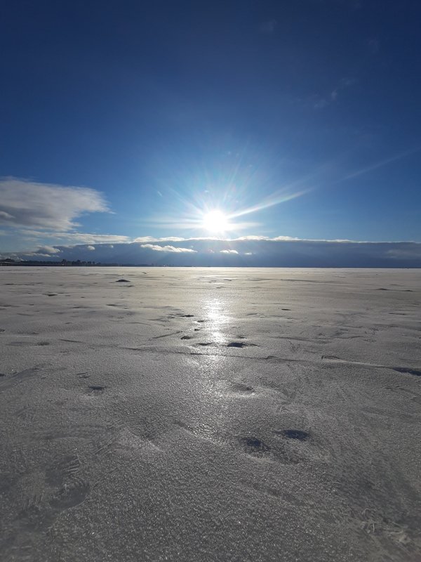  Страница 91 - Форум 