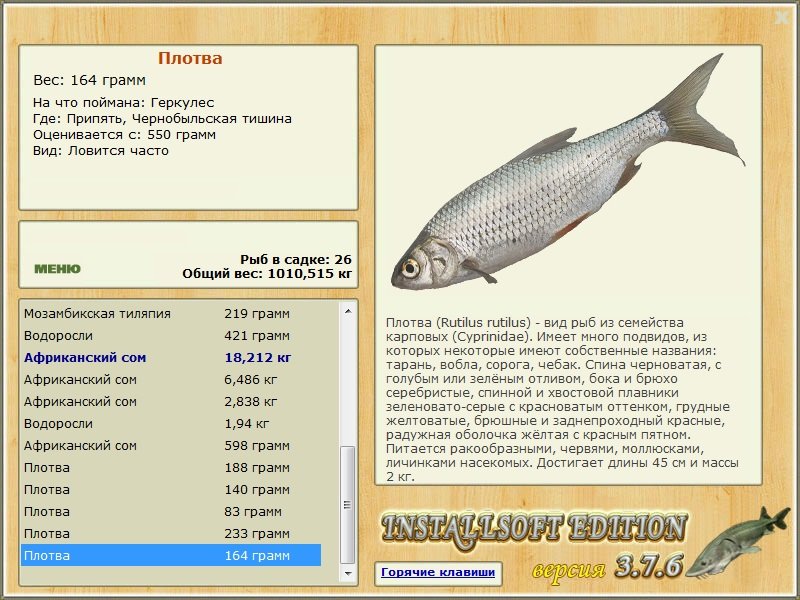 Чернобыльская тишина 