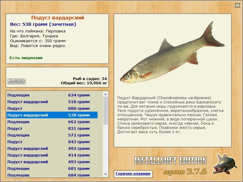 Тунджа 