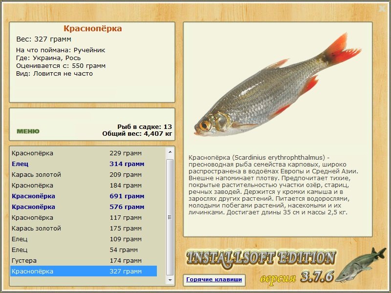 Рось 