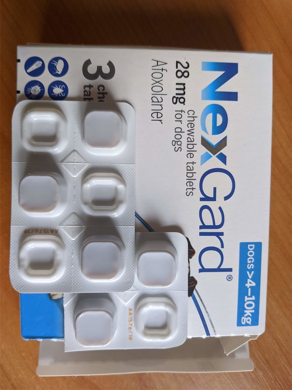 Финансовый отчет брошенных щенков с Ласточки 