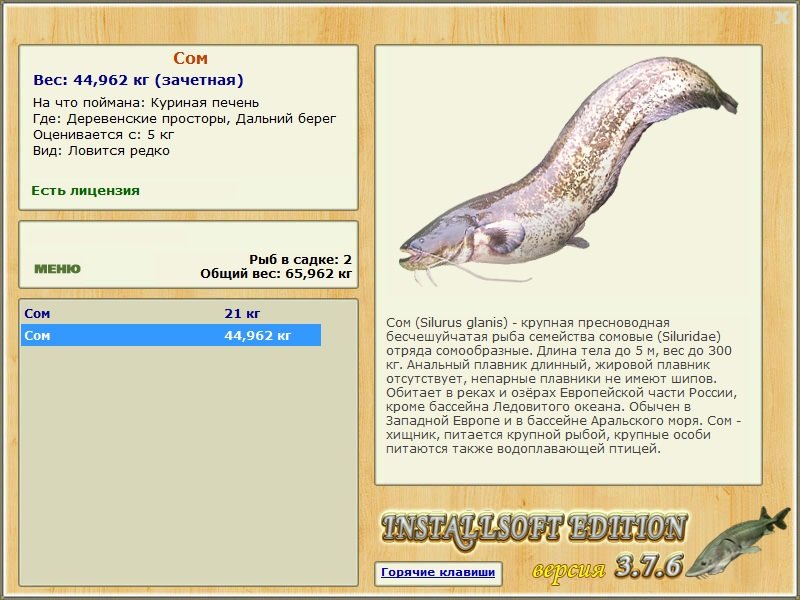 Дальний берег 