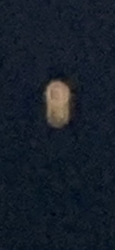  Страница 91 - Форум 