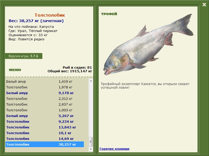 Толстолобик 