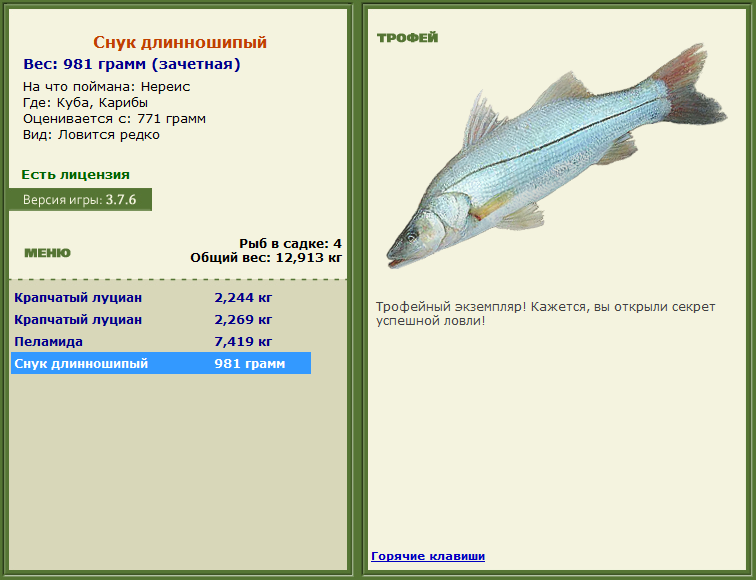 турниры • РУССКАЯ РЫБАЛКА