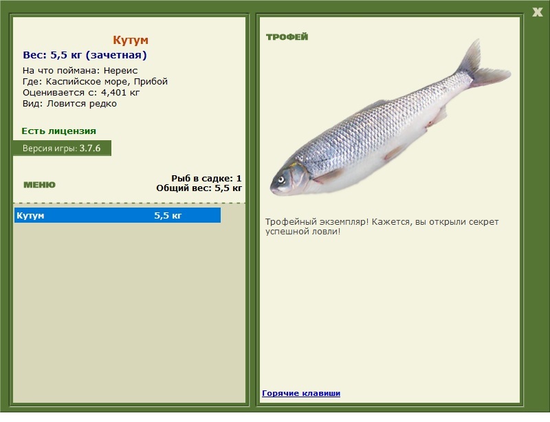 Нереис 