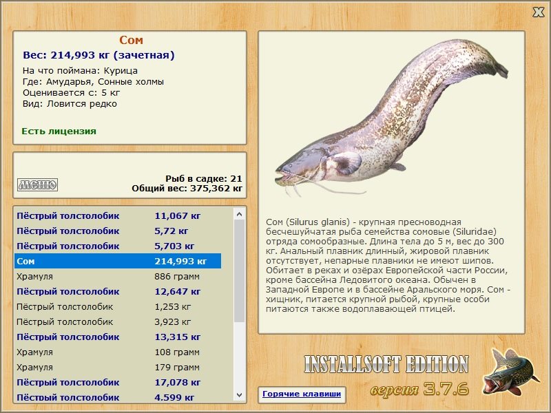 Сонные холмы 