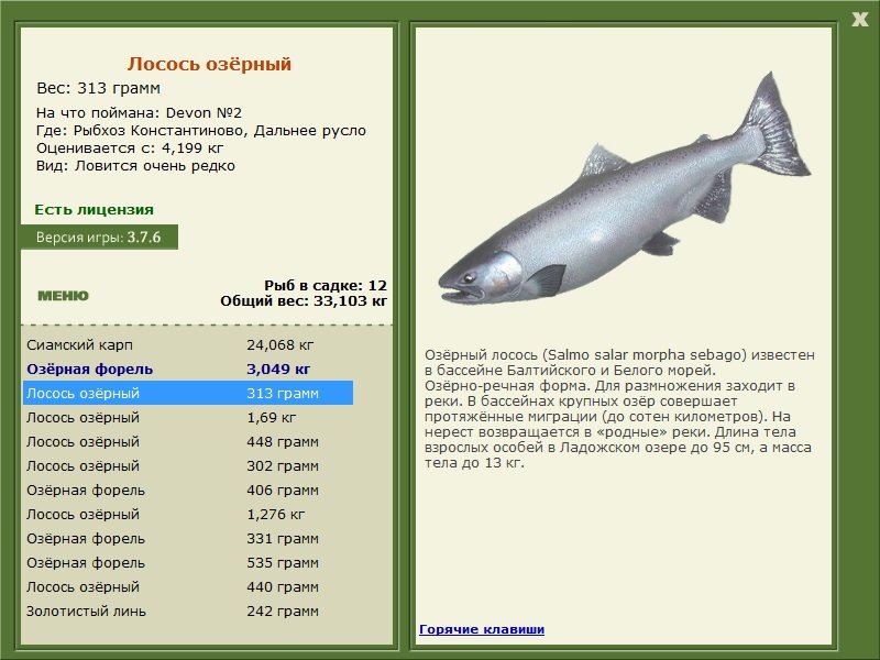 РУССКАЯ РЫБАЛКА Installsoft Edition 