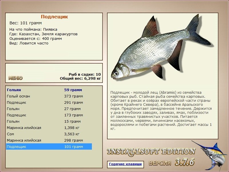 турниры • РУССКАЯ РЫБАЛКА