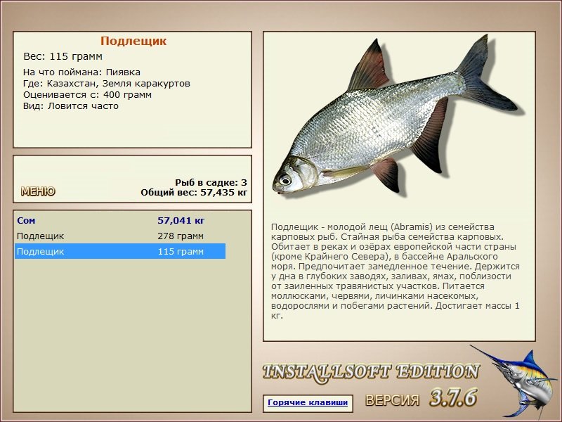 турниры • РУССКАЯ РЫБАЛКА