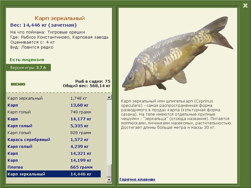 турниры • РУССКАЯ РЫБАЛКА