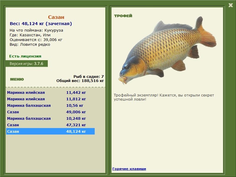 Или 