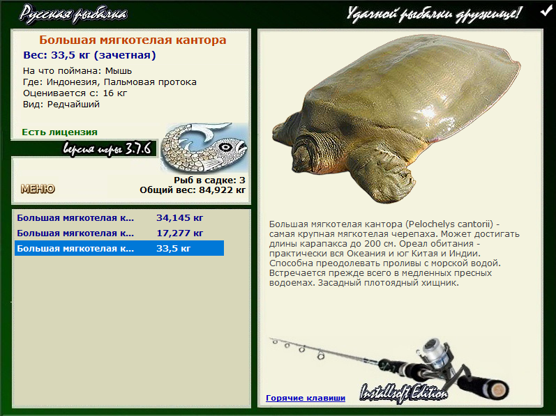 турниры • РУССКАЯ РЫБАЛКА