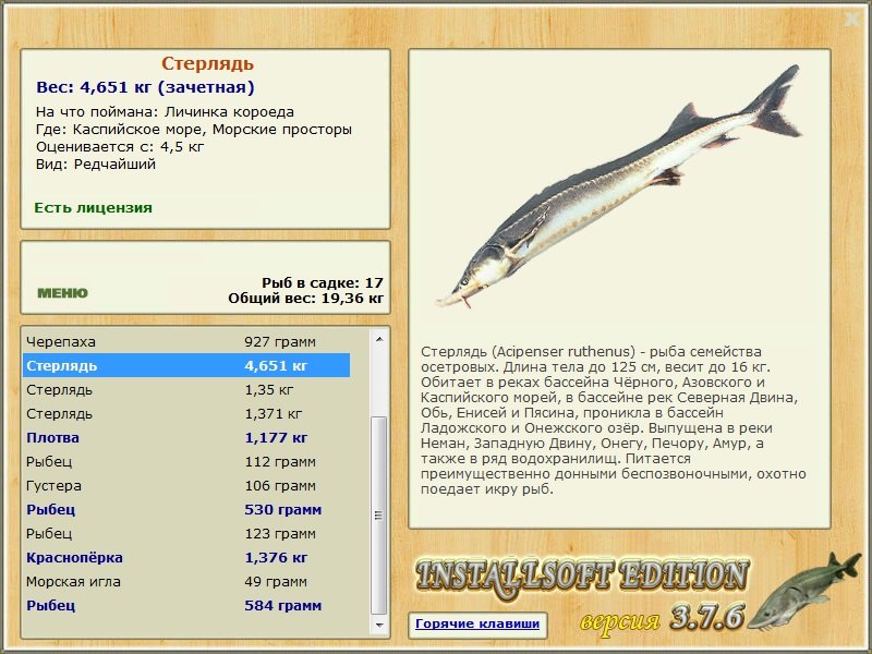 Каспийское море 