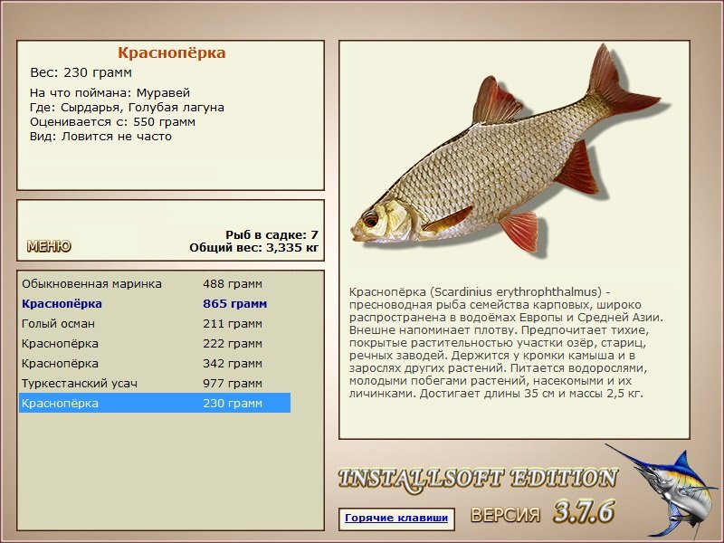 Голубая лагуна 