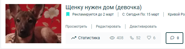 Финансовый отчет Кэтти (щенок с пироплазмозом) 
