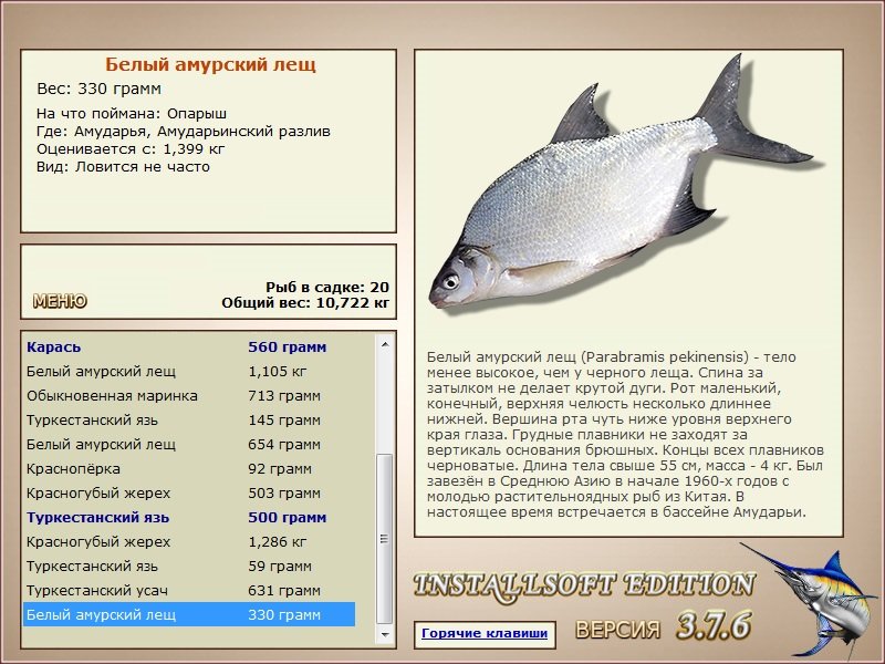 Амударьинский разлив 