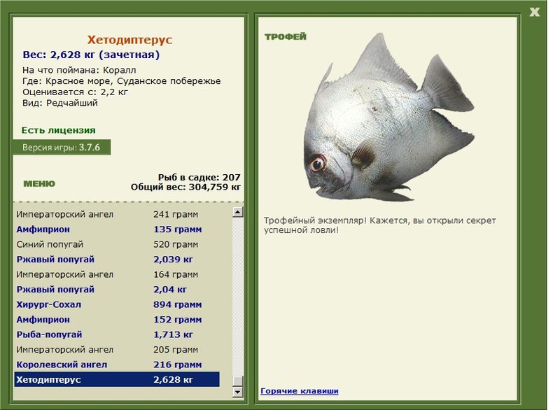 Хетодиптерус 