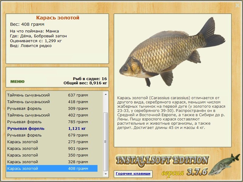 Бобровый затон 