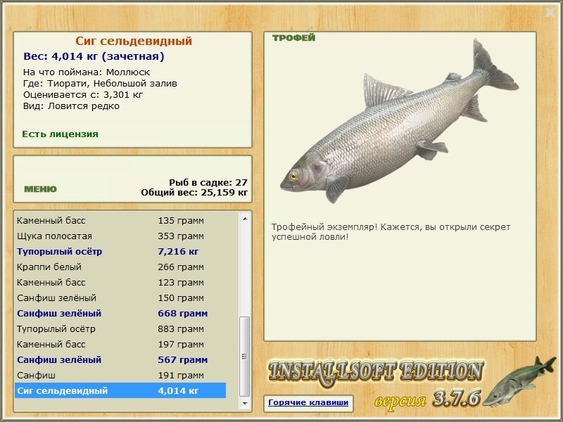 Небольшой залив 
