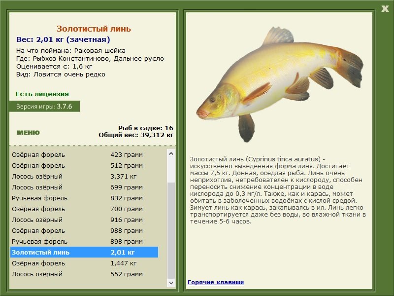 турниры • РУССКАЯ РЫБАЛКА