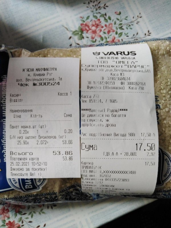 Финансовый отчет Кэтти (щенок с пироплазмозом) 