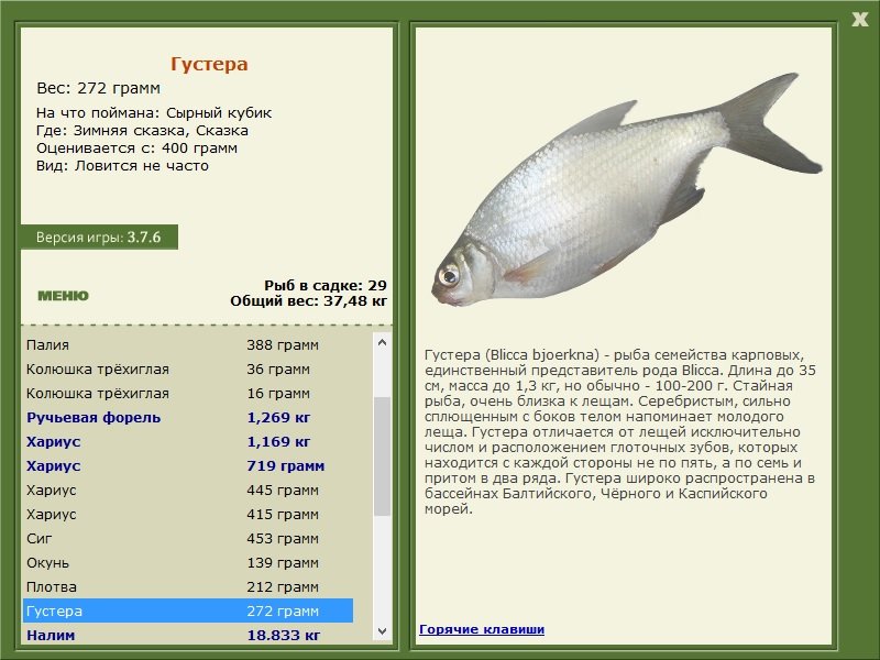 турниры • РУССКАЯ РЫБАЛКА