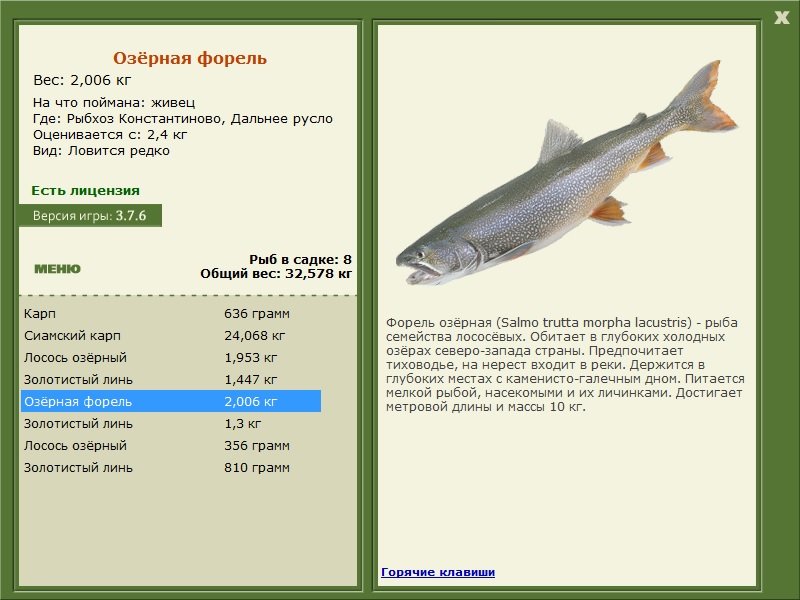 турниры • РУССКАЯ РЫБАЛКА