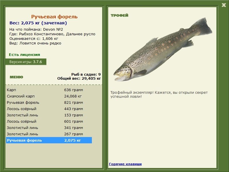 Дальнее русло 