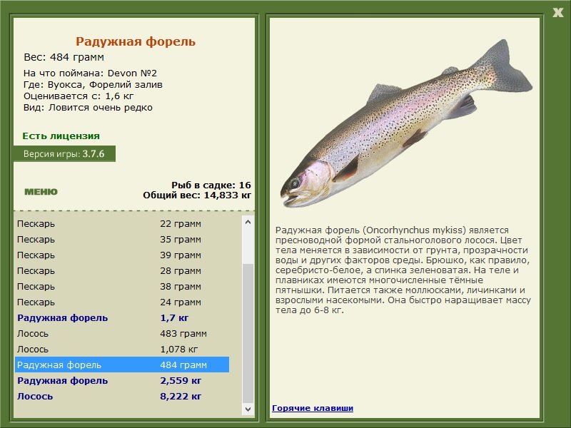турниры • РУССКАЯ РЫБАЛКА