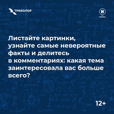  Просмотр темы - Акции и Конкурсы от «Триколор ТВ»