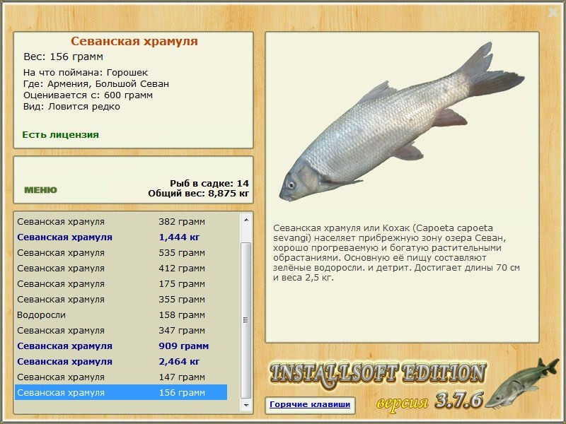 Большой Севан 