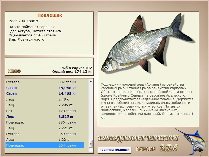 Летняя стоянка 